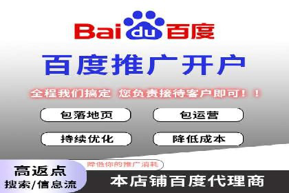 百度推广的ROI优化：成功企业案例解析